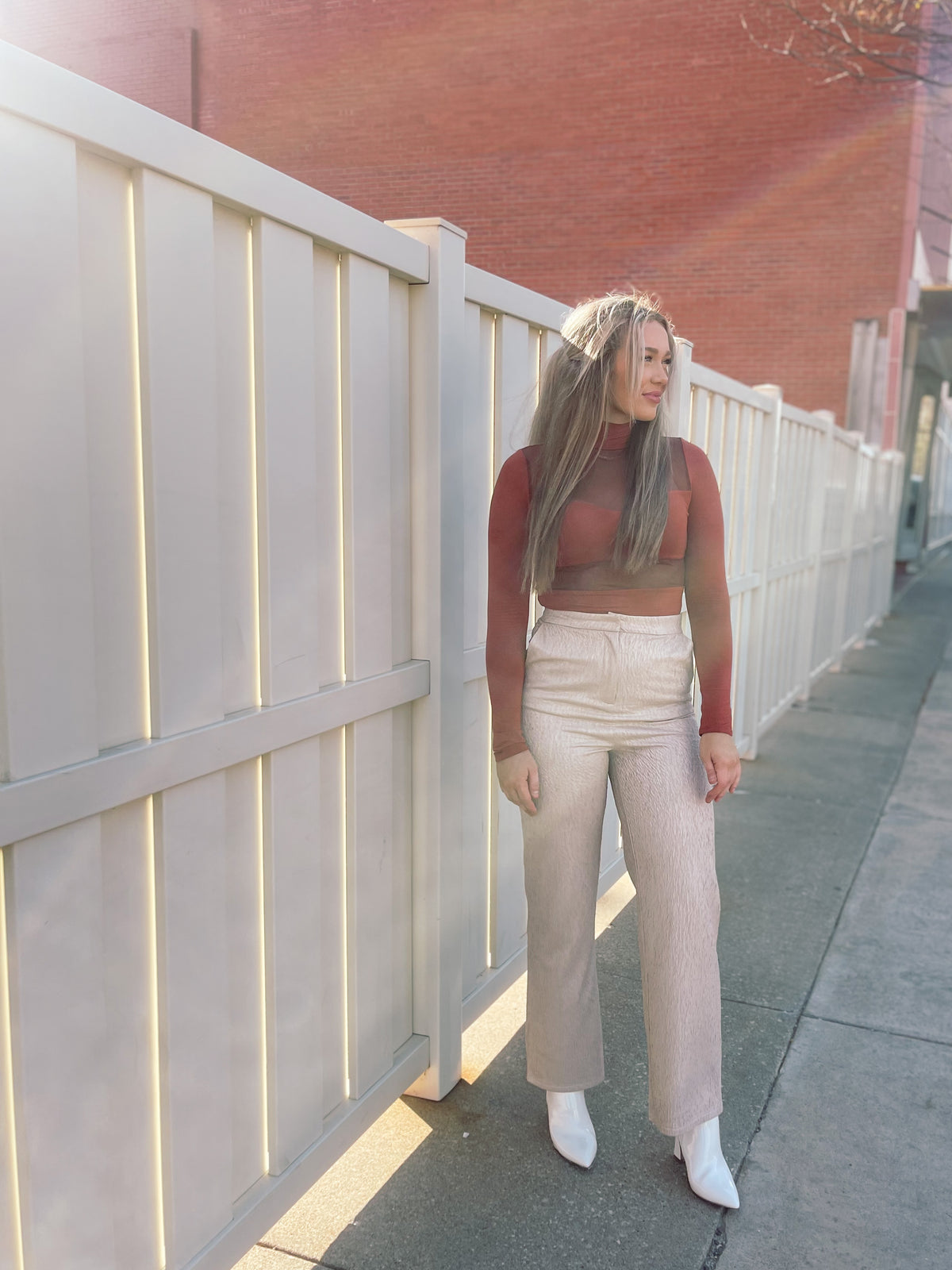 Silver Beige Wide Leg Pant