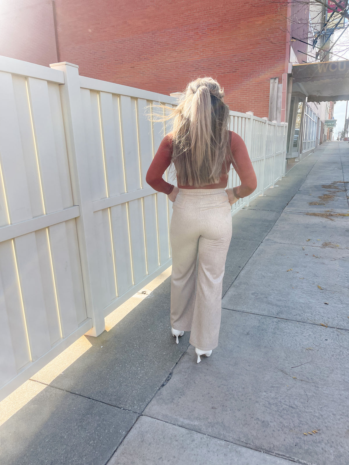 Silver Beige Wide Leg Pant